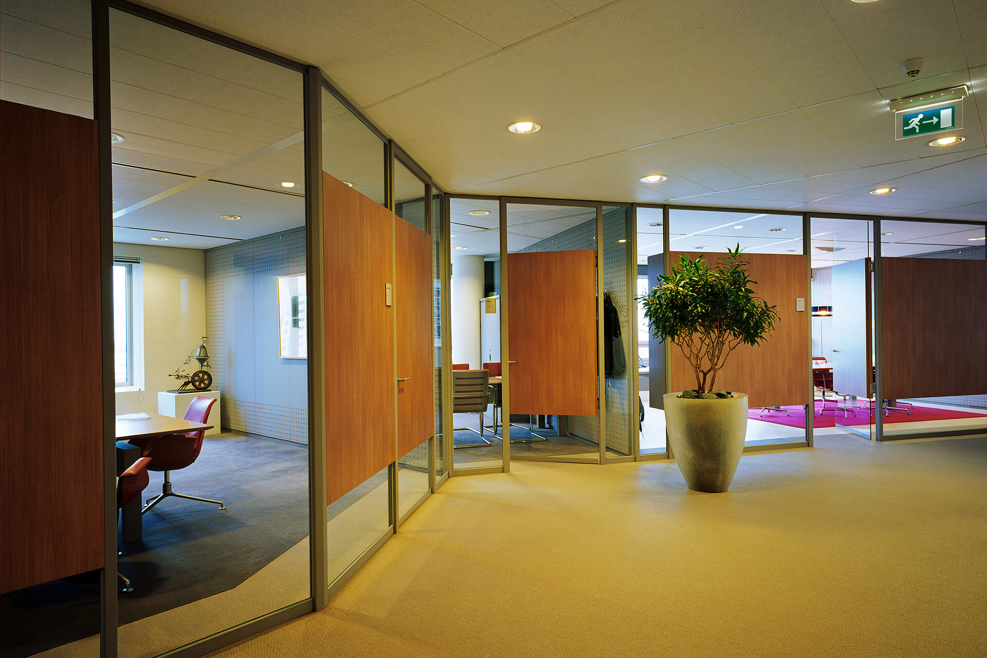Ernst & Young wanden met glas en hout
